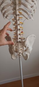 1000015894 La Lombalgie 2 Lombaire melun osteopathe lombalgie