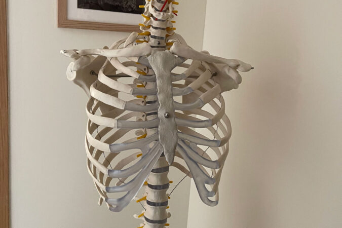 squelette salle de consultation ostéopathie